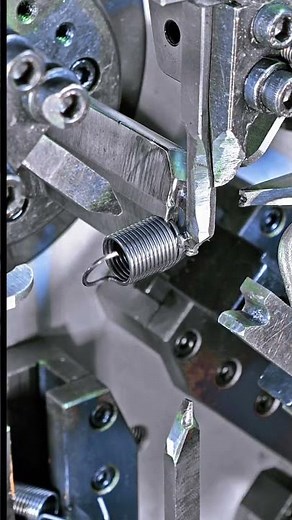 The age of a fish can be determined by its largest scale. spring springmanufacturing #youtube