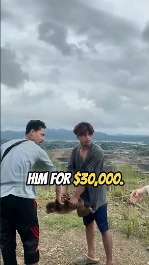 Eating Monkey Brains