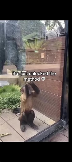 #singe #methid #noway | methi