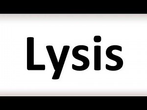 How to Pronounce Lysis (correctly!)