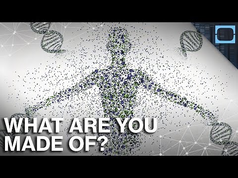 What Everything In Your Body Is Really Made Of? Genes Explained.
