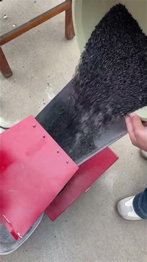 Mini Multi-Grain Flour Mill for Southern Homes - DIY Bread Revolution