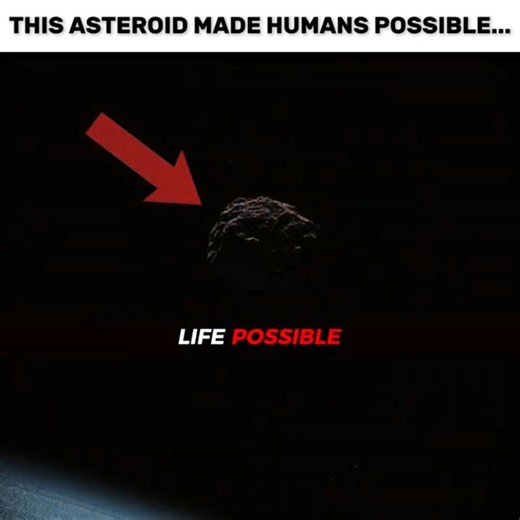 We Exist Only Because Of This Rock 💀🪨