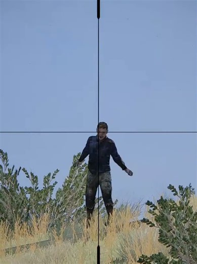 Sporter 22: A Melhor Arma do DayZ