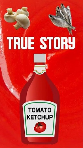 History of Ketchup 🍅