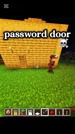 Minecraft password door 💀