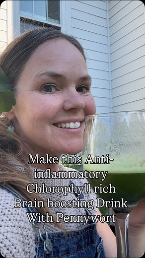 Comment Pennywort for the recipe! This pennywort drink is loaded in chlorophyll and antioxidants! Here’s to staying healthy with the wild herbs beneath our feet! #Forage #pennywort #medicinewoman #permaculture #healer #wildcraft #healingplants #medicinalplants | Wild Herb Academy