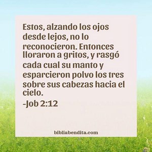 Explicación Job 2:12. 'Estos, alzando los ojos desde lejos, no lo reconocieron. Entonces lloraron a gritos, y rasgó cada cual su manto y esparcieron polvo los tres sobre sus cabezas hacia el cielo.' - BibliaBendita