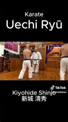 karate Uechi Ryu Training #karate #mma #japanese