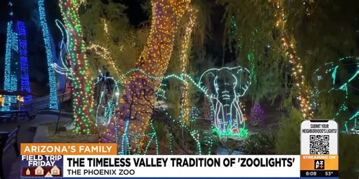 Experience the timeless holiday tradition of ZooLights
