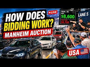 How Car Bidding Works at Manheim Auction | USA Auto Auction Inside Look
