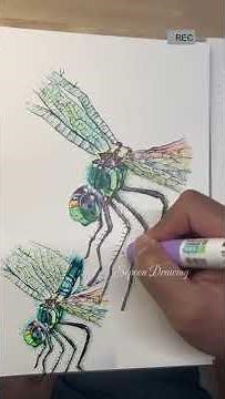 How to draw insect 01 - Dragonfly