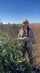 Florida Native Plant Society on Reels