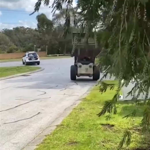 3.3K views · 33 reactions | #trash #festival #trashmaster #garbagetruck | Florafables0 | Facebook