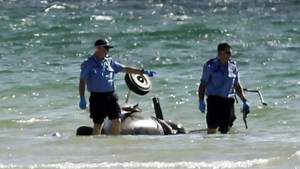 Gyrocopter crashes at Forrest Beach near Capel, Busselton