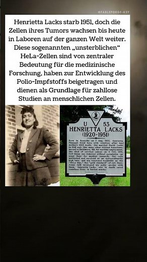 Henrietta Lacks’ unsterbliche Zellen 🧬✨