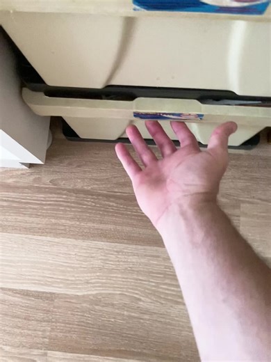 Organizing Euro Banknotes and Coins for Financial Clarity