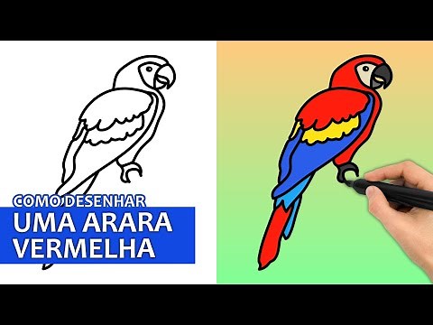 Como Desenhar Uma Arara Vermelha | Tutorial De Desenho Fácil Passo A Passo