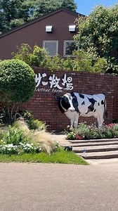 2.1K views · 12 shares | Mother Farm in Chiba is a great place to visit. The duck parade was cute, and the sheep show was interesting-they showed different sheep from around the world. The dog and sheep show was really good, and the pig race was fun. Kids will love it! #highlights #japan | JJ Tokyo | Facebook