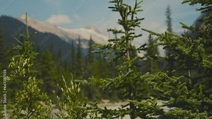 A stunning scenery of Yoho National Park in Canada on a clear blue day and in summer daytime