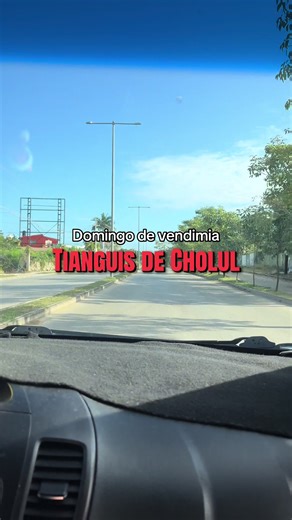 Aventura en el Tianguis de Cholul: Guía Completa