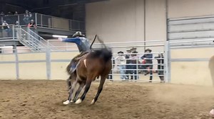 15K views · 309 reactions | CMBH #futurityoffortunesssale Bucking Horse Sale this Sat Nov 1st at 5 pm MST Ponoka, AB, Canada. Lot 3 – #021 Happy Hour (Gelding) owned by Cody Woodward (LHD) Catalog Link - https://cmbhbucks.com/cmbh-sale-catalog/ Register to bid online and watch - https://vjv.agribidder.ca/login #1futurityassoc #cmbhbucksmore @topfans | Canadian Made Bucking Horses | Facebook