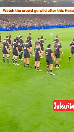 Crowd Goes Wild During Powerful Rugby Haka New Zealand 🔥