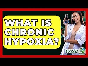 What Is Chronic Hypoxia? - Biology For Everyone
