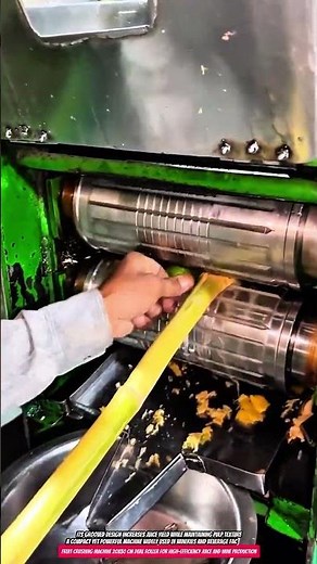 Fruit Crushing Machine 20x30 cm Dual Roller for High-Efficiency Juice and Wine Production