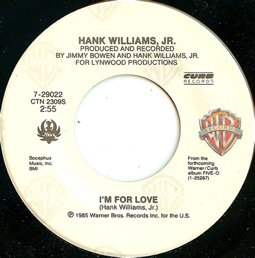 Hank Williams Jr. - I'm For Love / Lawyers, Guns And Money