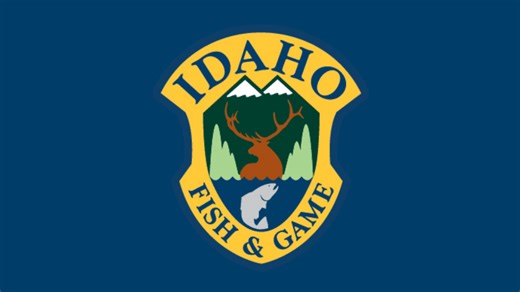 IDFG prioritize public safety after mountain lion spotted in Lewiston