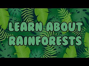What are Rainforests? ┃Learn about Rainforests for Kids 🌳🌎