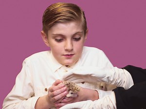 If Wes Anderson told you what you needed to bring to Sandy City to get a passport, it might look something like this. (More info here: https://sandy.utah.gov/government/city-recorder/passports) | Sandy City