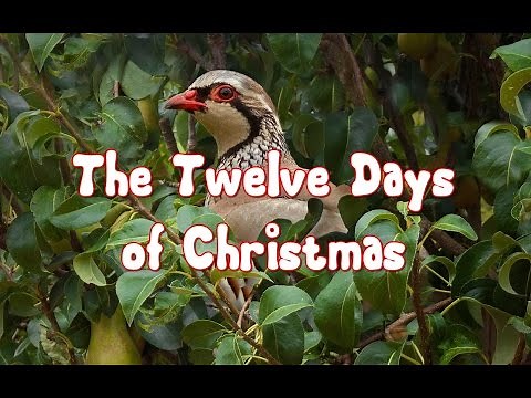 🎄What are the Twelve Days of Christmas?🎄