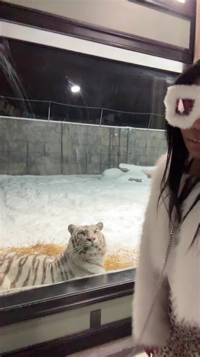 push it🐅😂 #makemeviral #makemefamous #trending #fyp #fypシ゚viral | push it dance