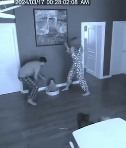 4.6M views · 75K reactions | This baby just switched places with the dog  | 햧 헒 헉 헇 허 헍 헂 헓 햾 | Facebook