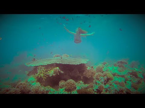 The 3 Tails - A Mermaid Adventure Official Trailer #1 (2015) HD