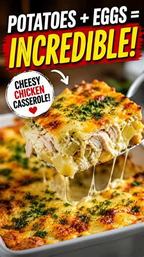 I Mixed Potatoes with Eggs… This Cheesy Chicken Casserole Is Incredible!