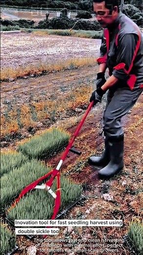 Inovation tool for fast seedling harvest using double sickle tool