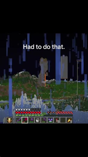 #minecraft #fyp #mc #totem #elytra