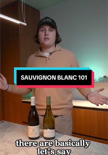 Sauvignon Blanc 101: Discover This Popular Grape