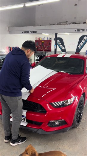 Ploteo de Capot Mustang con Vinilo Blanco