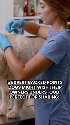 Awesome Animals 365 on Reels