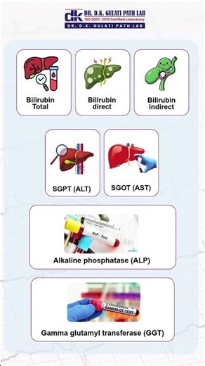 Understanding Your Liver Function Test (LFT) | Key Parameters Explained