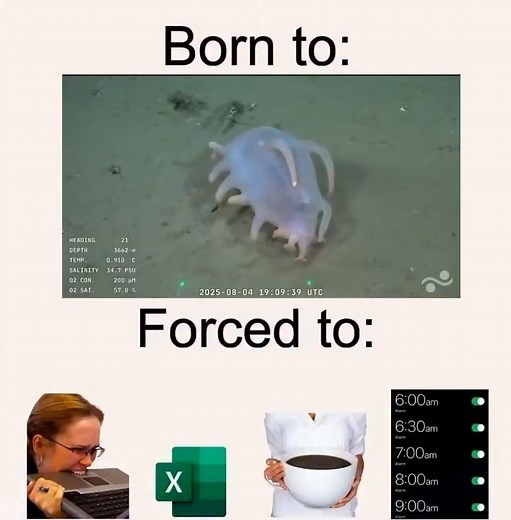 23K views · 833 reactions | Events of the planet Earth on Reels | Facebook