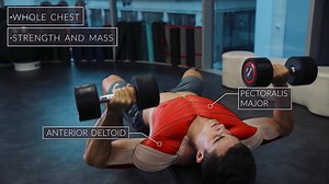 24 reactions | Flat Dumbell Press improves strength and size of the chest. It targets, Pectoralis Major and Anterior Deltoids. Watch the video to know more about Flat Bench Press Courtesy - Pietro Boselli (youtube channel) #BigFlex #TheGreatKhali #Fitness #ForAllSports #HealthSupplements #FavouriteExercise #Workouts #MuscularBody #FlatDumbbellPress | Big Flex | Facebook