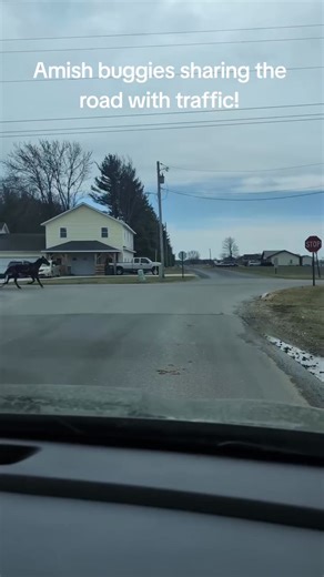 Amish buggies sharing the road with traffic! #amish, #amishcountry, #amishlife #viral #foryou #amishlover #amishlifestyle #countryliving #amishcountry #amishlife🎩 #AmishCountry #amishlovers #amishauthors #country #countrylife #oldies #amish #amishlife#foryoupage #amishtiktok #like #share #love #fyp #ohio #ohiocheck #comment #viral #foryou #amishlovers #amishlifestyle #amish #amishlife #amishcountry #amishcountryohio | Amish Love