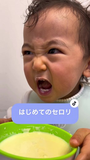 はじめてのセロリ料理レシピ