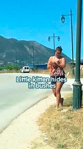 13K views · 463 reactions | Cat climbs mom like a tree!  #rescuecat #velcrocat #cuddlebuddies | Cuddle Buddies | Facebook