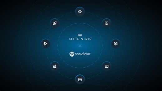 Snowflake Native App Updates: Cortex AI, parameters, and the new pay-per-seat model